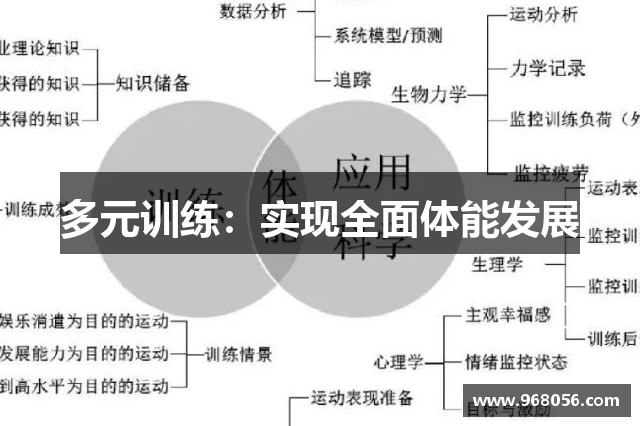 多元训练：实现全面体能发展