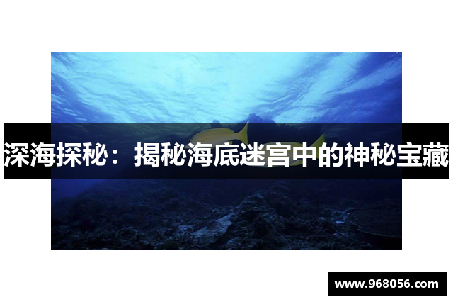 深海探秘：揭秘海底迷宫中的神秘宝藏